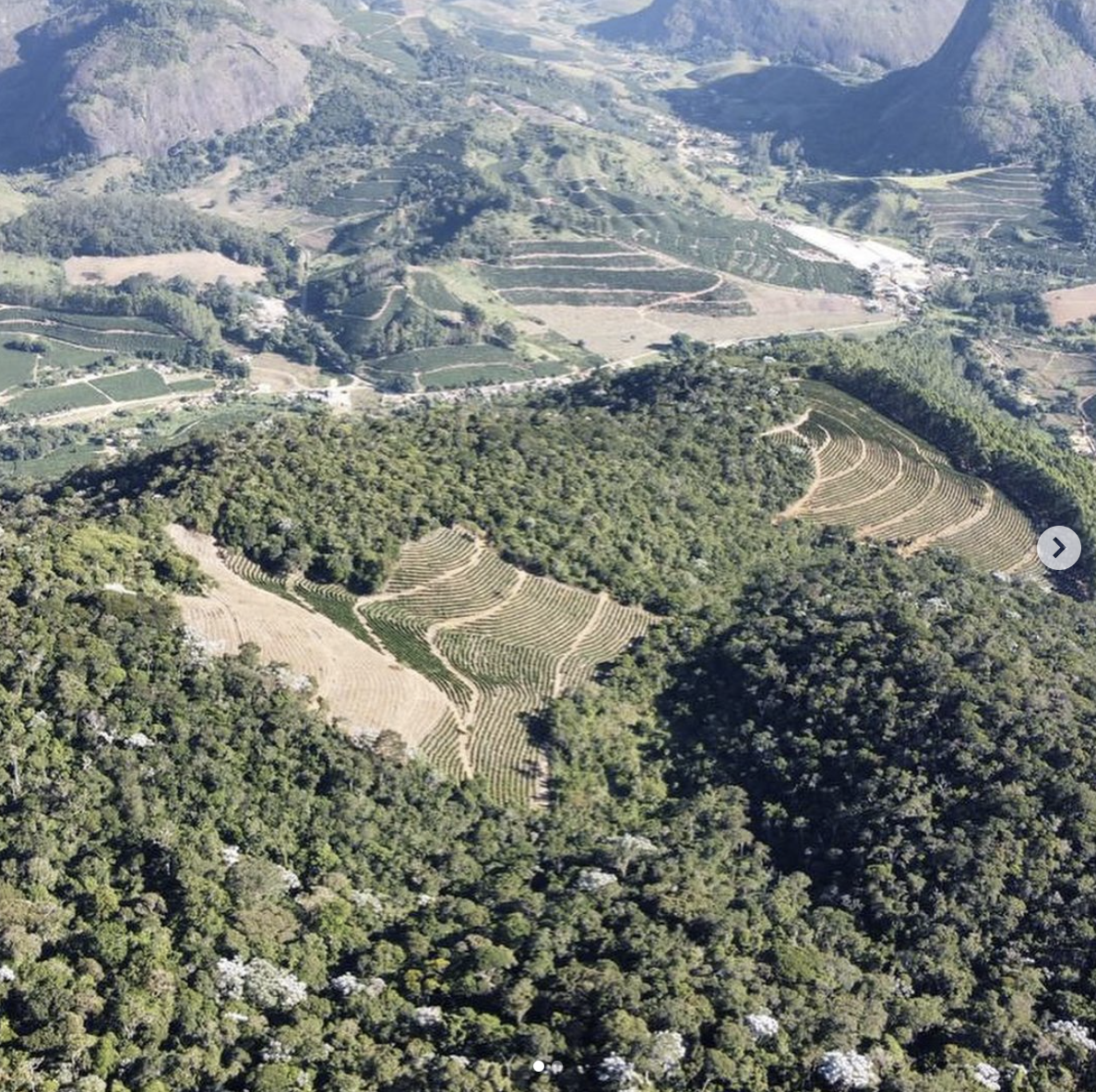 Vista aérea das lavouras de café nas montanhas do Caparaó